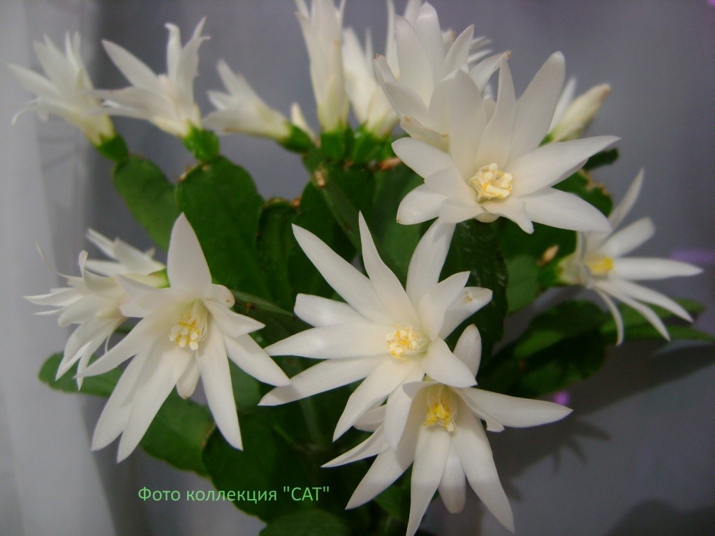 №Р-1 ЕСТЬ В НАЛИЧИИ