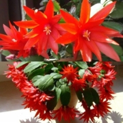 №Р-2 ЕСТЬ В НАЛИЧИИ