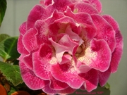 Лиловый Плен