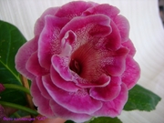 Первая Радость