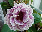 Млечный Путь